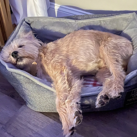 Meet your Posher, Amy - Picture 1 of 2